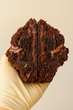 Brownie cookie